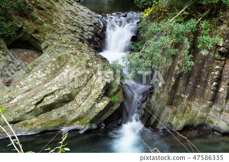 [靜岡縣] Kawazu Nanatsuri Umetsu瀑布 47586335