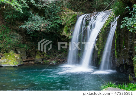 [Shizuoka Prefecture] Kawazu Nanatsuri Hatsunei Waterfall 47586591