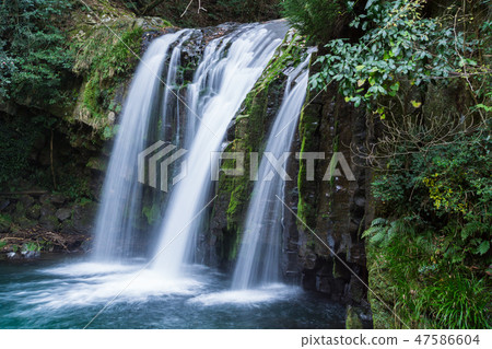 [靜岡縣] Kawazu Nanatsuri Hatsunei瀑布 47586604