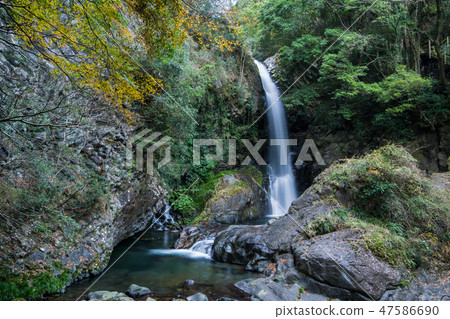 [靜岡縣] Kawazu Nanakitake Kanpaki 47586690