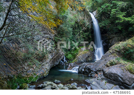 [靜岡縣] Kawazu Nanakitake Kanpaki 47586691