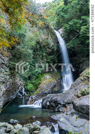 [靜岡縣] Kawazu Nanakitake Kanpaki 47586692