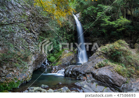 [靜岡縣] Kawazu Nanakitake Kanpaki 47586693