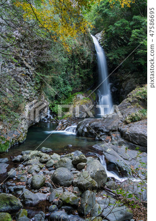 [靜岡縣] Kawazu Nanakitake Kanpaki 47586695