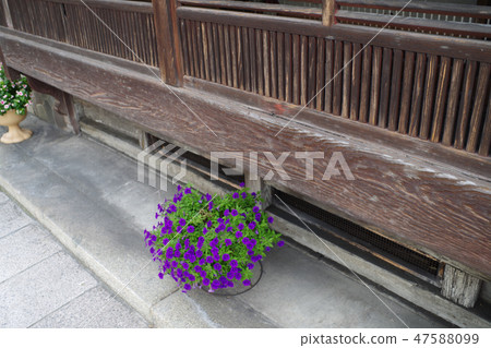 Historical streets Flowers beneath the edge of Machiya in Mihonmachi Historical streets Flowers beneath the edge of Machiya in Mihonmachi 47588099