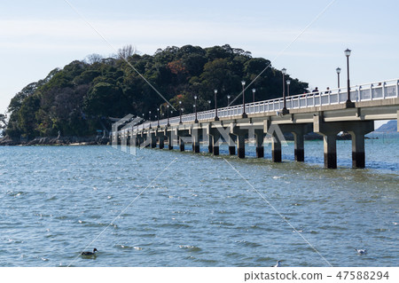 [愛知] Gamagori Takeshima 47588294