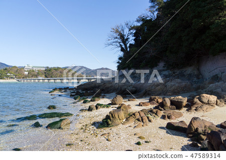 [Aichi] Gamagori Takeshima 47589314