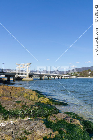 [Aichi] Gamagori Takeshima 47589342