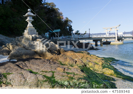 [Aichi] Gamagori Takeshima 47589348