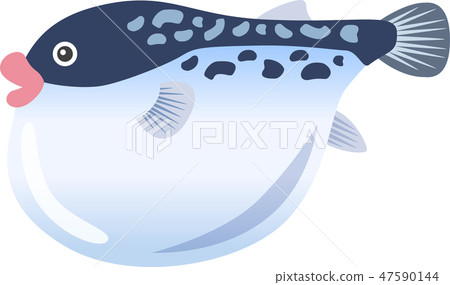 河豚魚 47590144