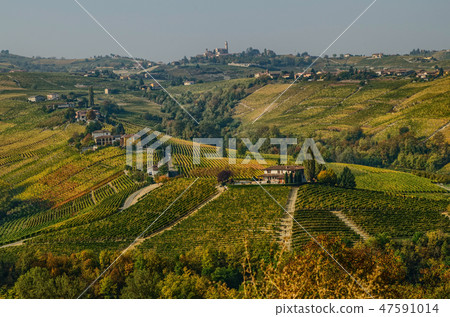 Panoramic autumn view of the Monferrato, Italy Panoramic autumn view of the Monferrato, Italy 47591014
