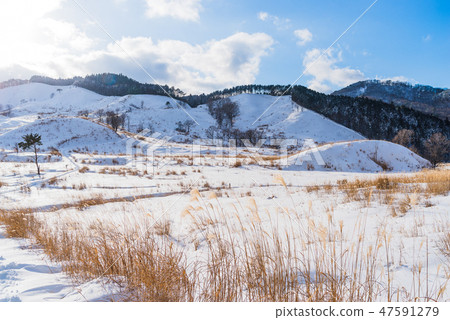 Aki Furin高地，雪落下 47591279