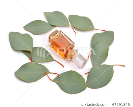 Eucalyptus essential oil with leaves Eucalyptus essential oil with leaves 47591846