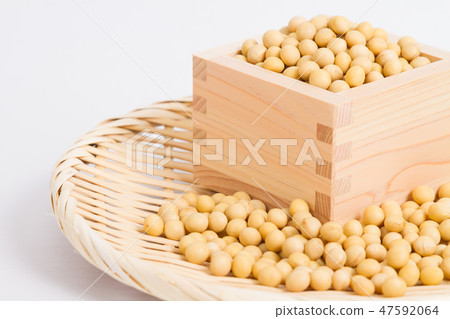 大豆 大豆 47592064