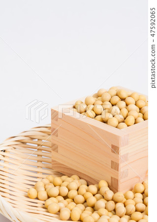 大豆 大豆 47592065