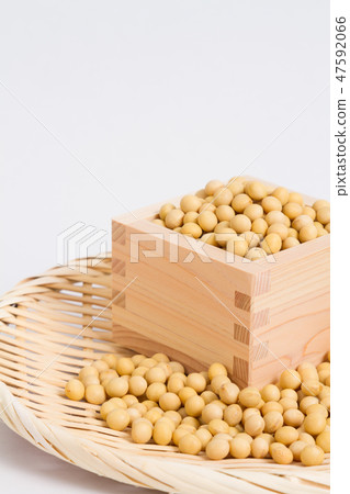 大豆 大豆 47592066
