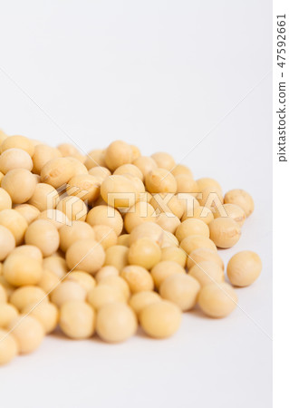 大豆 大豆 47592661