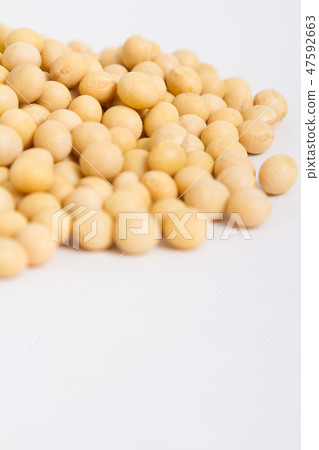 大豆 大豆 47592663