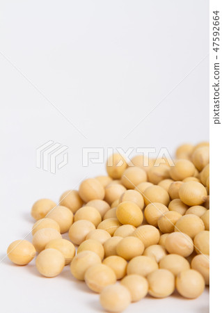 大豆 47592664