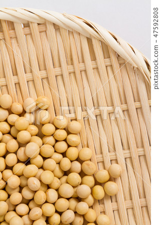 大豆 47592808