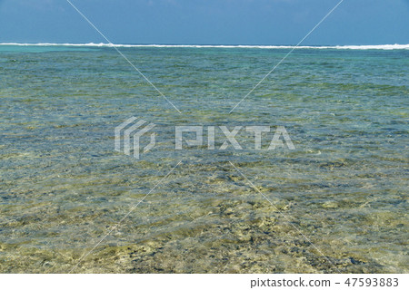 High seas of Kuroshima (Okinawa) 47593883