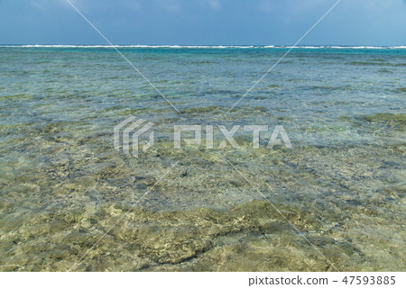 High seas of Kuroshima (Okinawa) 47593885