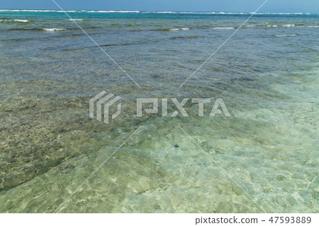 High seas of Kuroshima (Okinawa) High seas of Kuroshima (Okinawa) 47593889