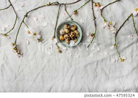 Easter flat-lay with quail eggs and almond tree 47595324
