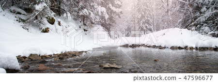 Snow covered trees in the winter forest Snow covered trees in the winter forest 47596677