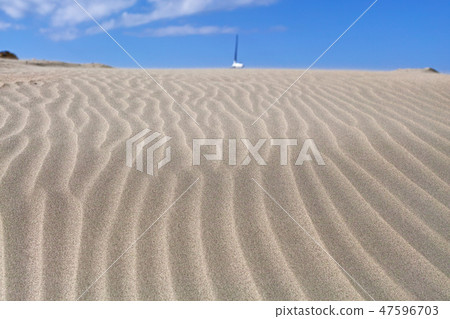 [Shizuoka Prefecture] Hamaoka Dunes (Windprint) 47596703