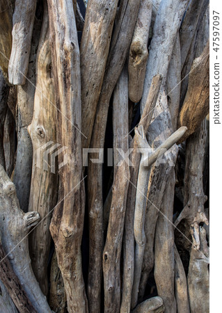 Driftwood Driftwood 47597097