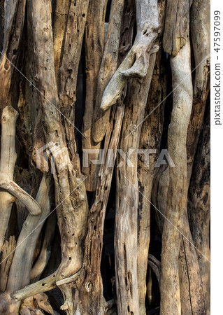 Driftwood Driftwood 47597099