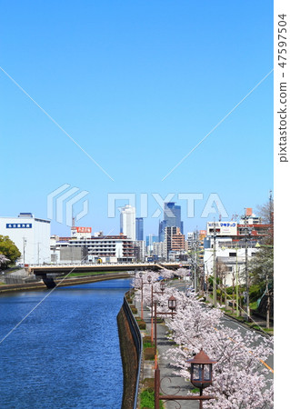 Spring Nagoya city cityscape 47597504
