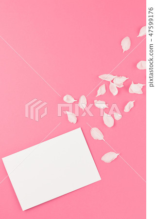 Flat lay of white letter mock up with petals Flat lay of white letter mock up with petals 47599176