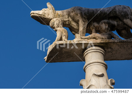 Lupa Senese - Wolf female - Siena Italy Lupa Senese - Wolf female - Siena Italy 47599487