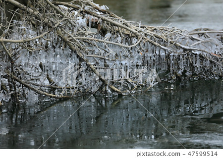 在死樹Ikugihira湖02做的飛濺 47599514