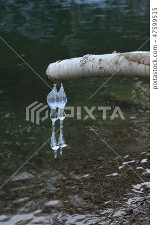 在死樹Ikugihira湖03飛濺 47599515