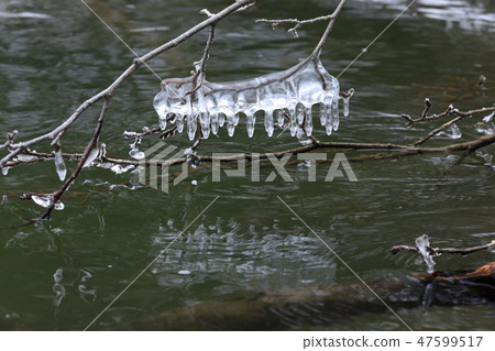 Splash made in dead tree Ikugihira Lake 05 Splash made in dead tree Ikugihira Lake 05 47599517