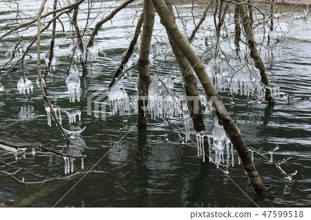 Splash made in dead tree Ikugihira Lake 06 47599518