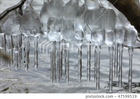Splashed in dead tree Ice Bunpei 07 Splashed in dead tree Ice Bunpei 07 47599519