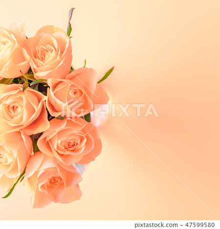 Fresh pink roses bouquet 47599580