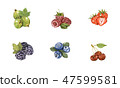 Watercolor hand drawn berry set isolated on white. 47599581