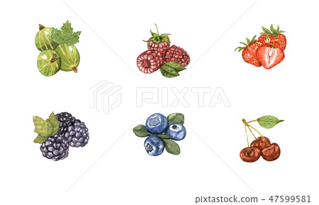 Watercolor hand drawn berry set isolated on white. 47599581