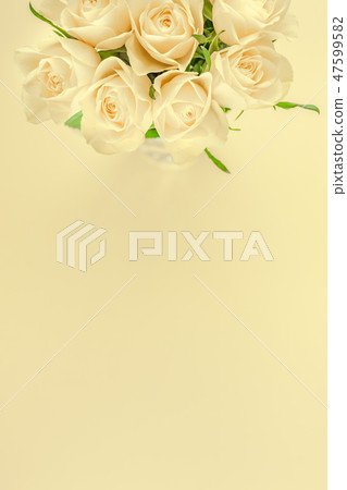 Fresh white roses bouquet Fresh white roses bouquet 47599582
