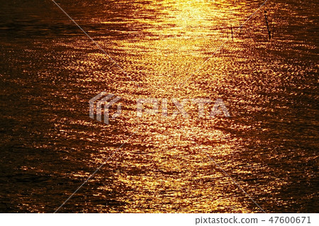 Impressive sea surface with reflection of sunlight Impressive sea surface with reflection of sunlight 47600671