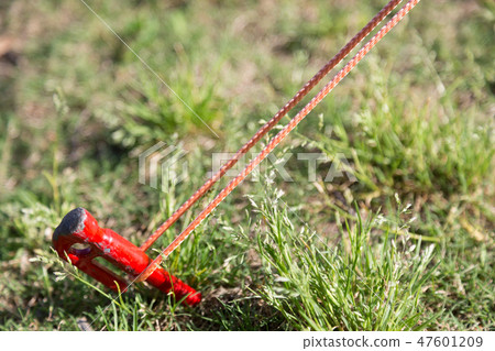 掛了帳篷 47601209