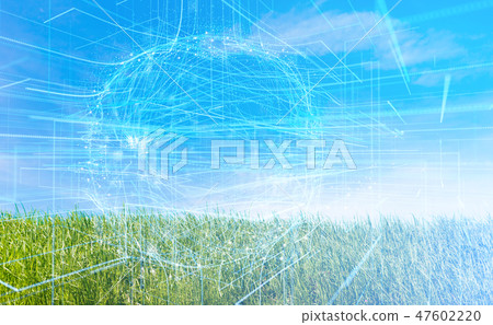 Meadow Meadow 47602220