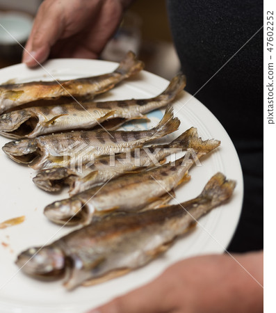 Yamame Iwana Rainbow trout Yamame Iwana Rainbow trout 47602252