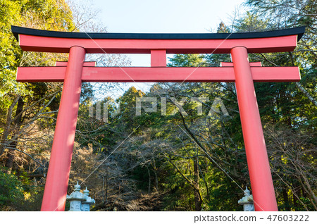 Katori神宮神社繪了Otorii(千葉縣香取市)自2019年1月起 Katori神宮神社繪了Otorii(千葉縣香取市)自2019年1月起 47603222