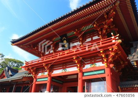 The gate of the shrine 47603856